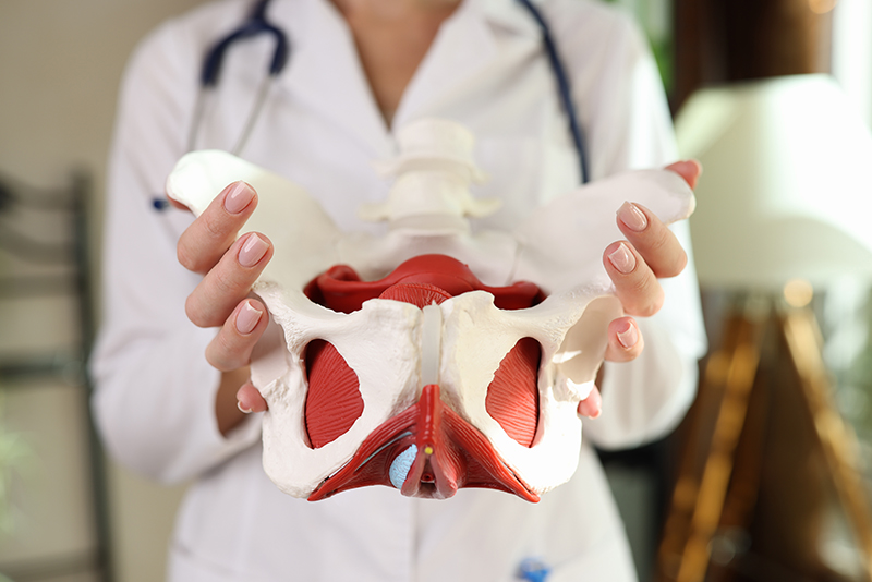 Riabilitazione del Pavimento Pelvico